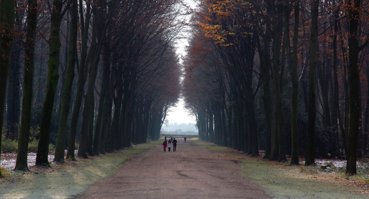 Bruehl Countryside 1