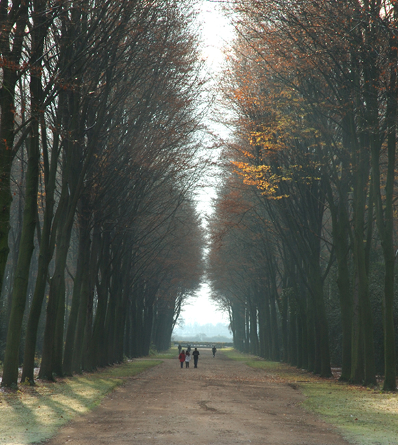 Bruehl Countryside 2