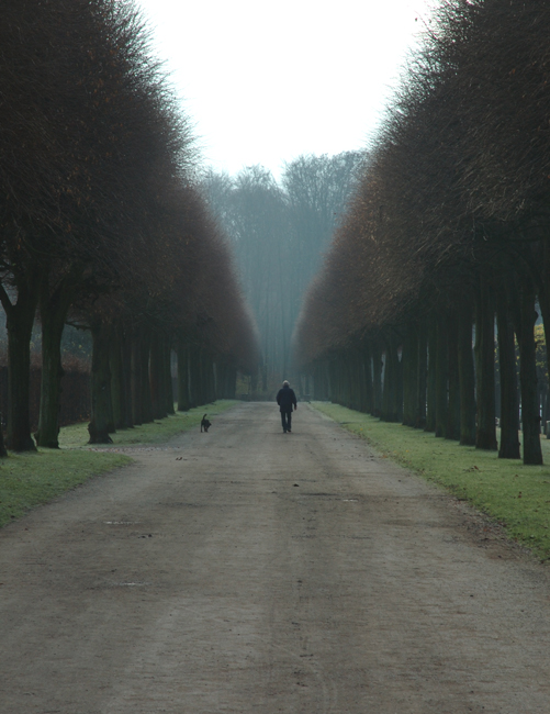 Bruehl Countryside 3