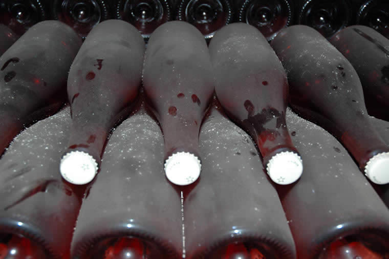 Champagne Cellar 2