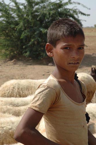 Young Shepherd in Rajasthan